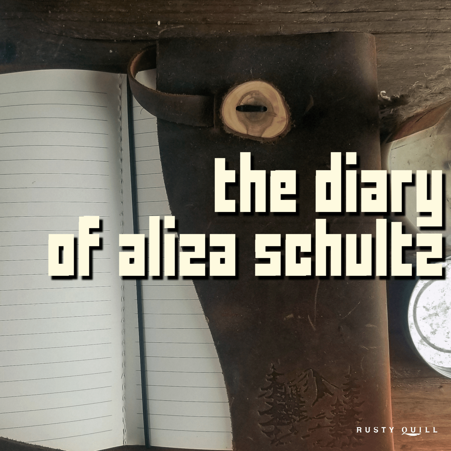 The Diary of Aliza Schultz Cover Art showing a diary on a table.